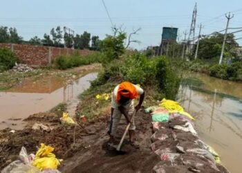 जालंधर में बिस्ट दोआब नहर ओवरफ्लो, कई कॉलोनियों में घुसा पानी; लोगों में दहशत