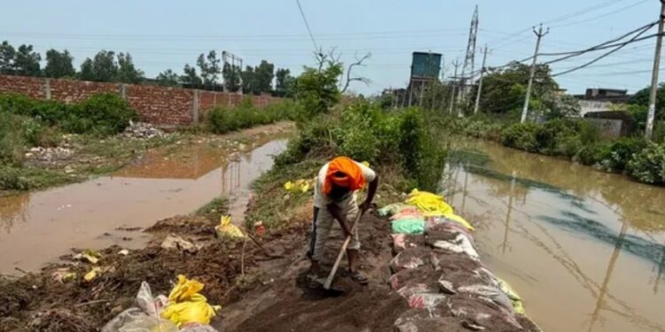 जालंधर में बिस्ट दोआब नहर ओवरफ्लो, कई कॉलोनियों में घुसा पानी; लोगों में दहशत